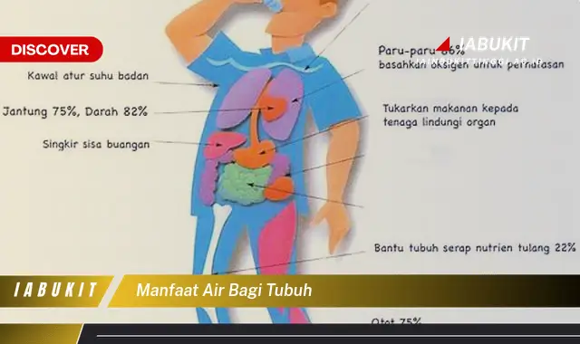 manfaat air bagi tubuh