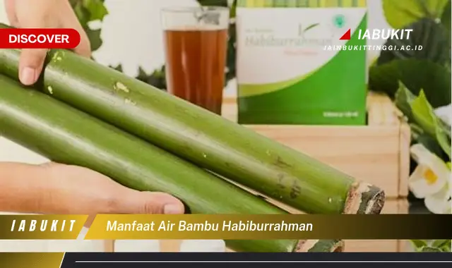 manfaat air bambu habiburrahman