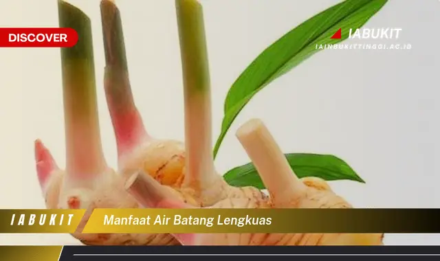 manfaat air batang lengkuas