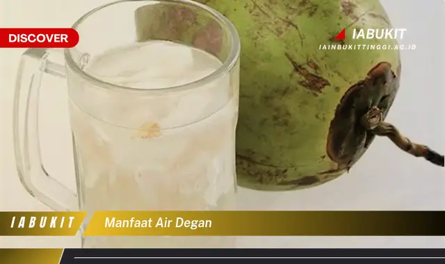 manfaat air degan