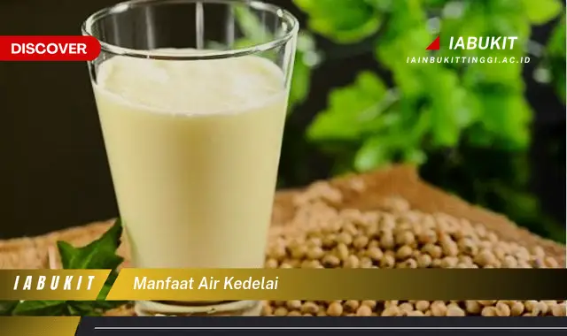 manfaat air kedelai