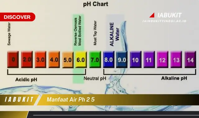 Temukan 20 Manfaat Air pH 2,5 yang Jarang Diketahui - E-Jurnal