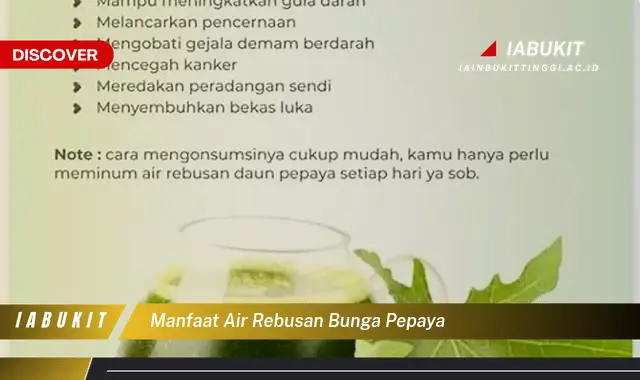 manfaat air rebusan bunga pepaya