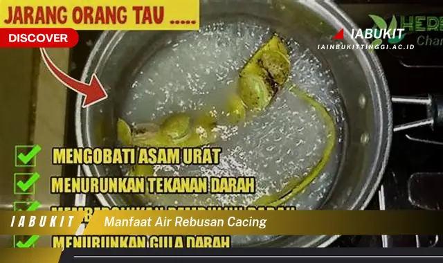 manfaat air rebusan cacing