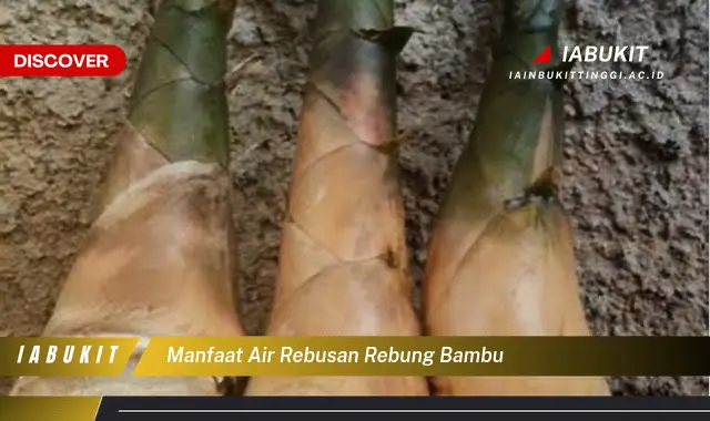 manfaat air rebusan rebung bambu