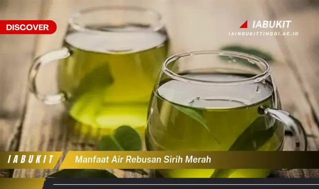 manfaat air rebusan sirih merah