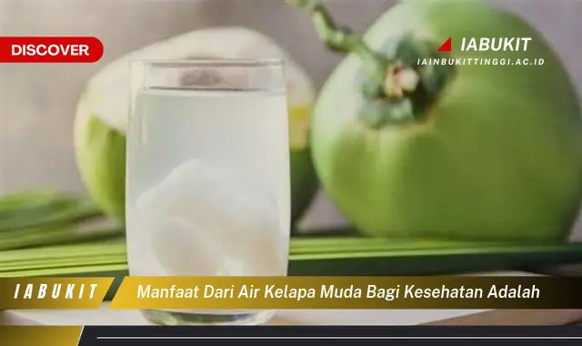 manfaat dari air kelapa muda bagi kesehatan adalah