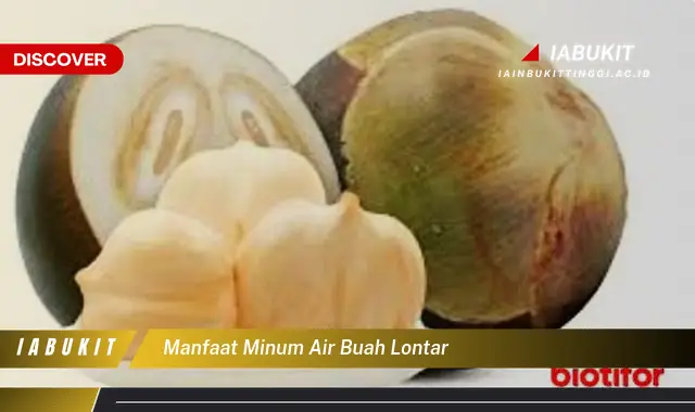 manfaat minum air buah lontar