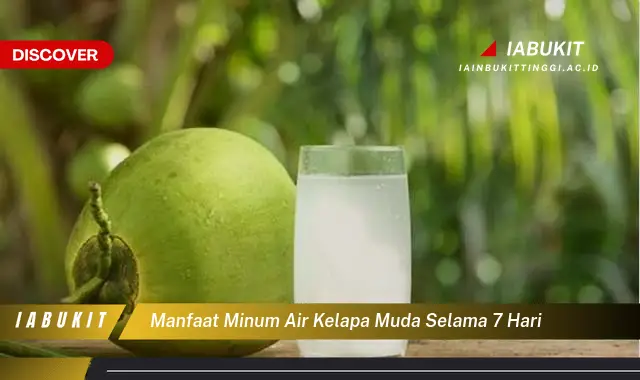 manfaat minum air kelapa muda selama 7 hari