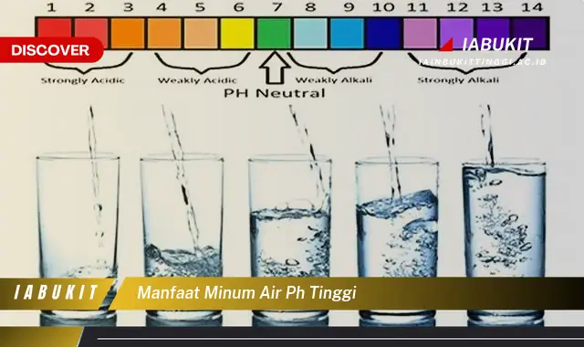 manfaat minum air ph tinggi