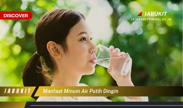 manfaat minum air putih dingin