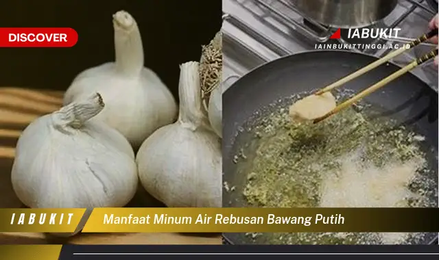 manfaat minum air rebusan bawang putih