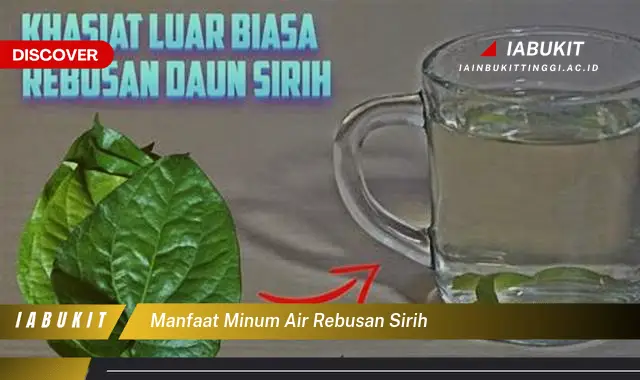 manfaat minum air rebusan sirih