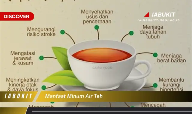 manfaat minum air teh