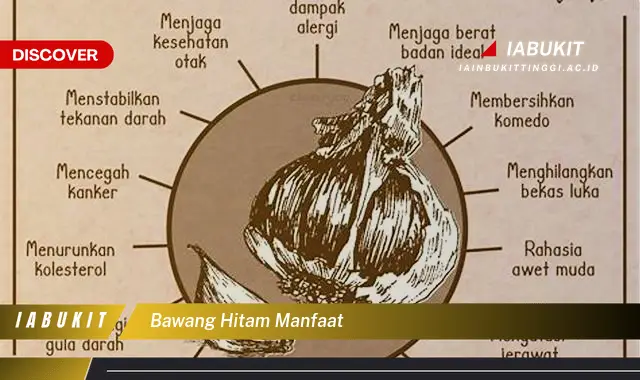 bawang hitam manfaat