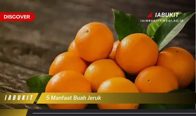 5 manfaat buah jeruk