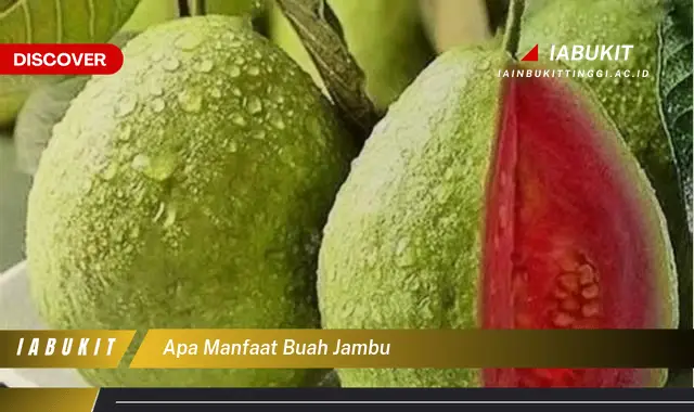 apa manfaat buah jambu