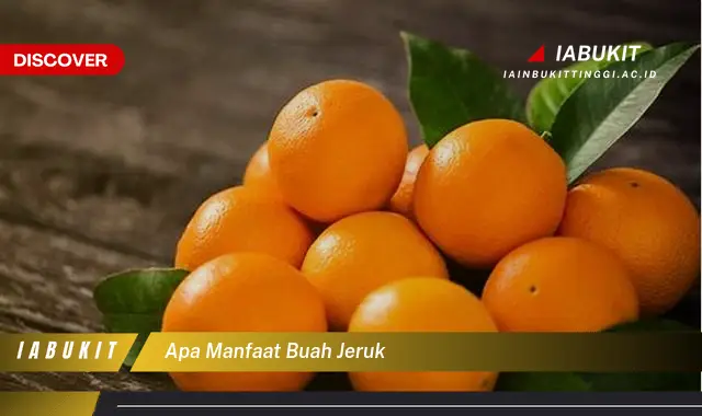 apa manfaat buah jeruk