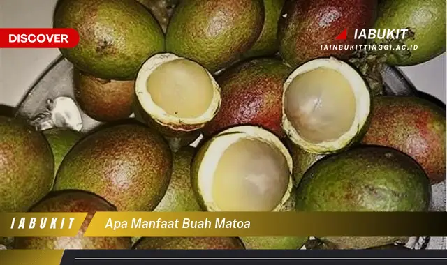 apa manfaat buah matoa