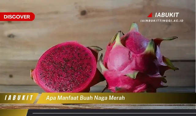 apa manfaat buah naga merah