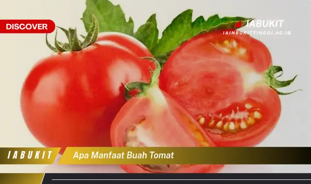 apa manfaat buah tomat