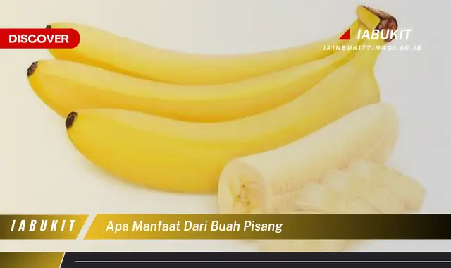 apa manfaat dari buah pisang apa manfaat dari buah pisang
