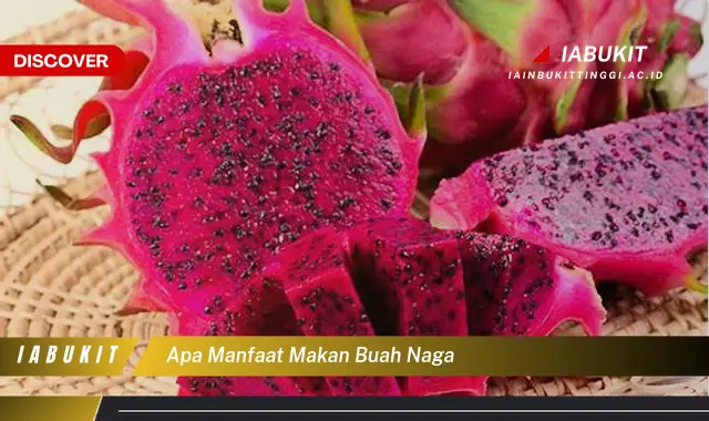 Bukan cuma buah jambu biji, Ketahui 5 Manfaat buah naga yang Bikin Penasaran - E-Jurnal