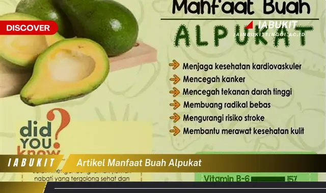 artikel manfaat buah alpukat