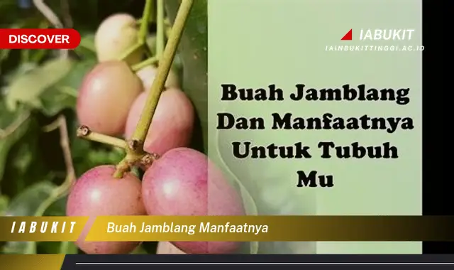 buah jamblang manfaatnya