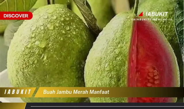 buah jambu merah manfaat