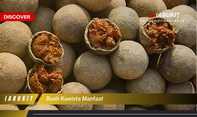 buah kawista manfaat