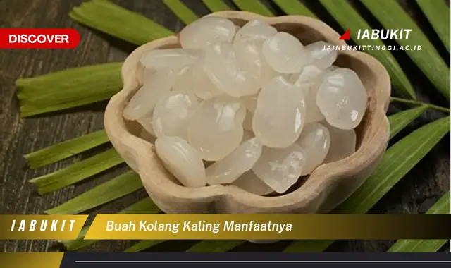 Jarang Diketahui, Ini 20 Manfaat Buah Kolang Kaling yang Bikin Penasaran - E-Jurnal