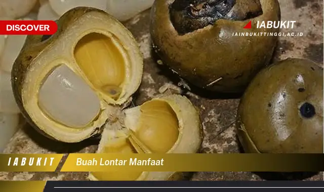 buah lontar manfaat