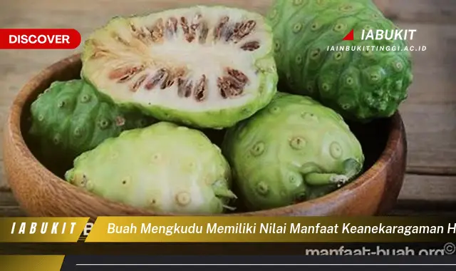 buah mengkudu memiliki nilai manfaat keanekaragaman hayati berupa sumber