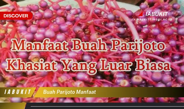 buah parijoto manfaat