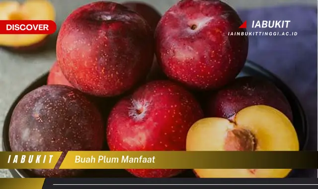 buah plum manfaat