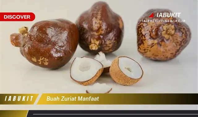 buah zuriat manfaat