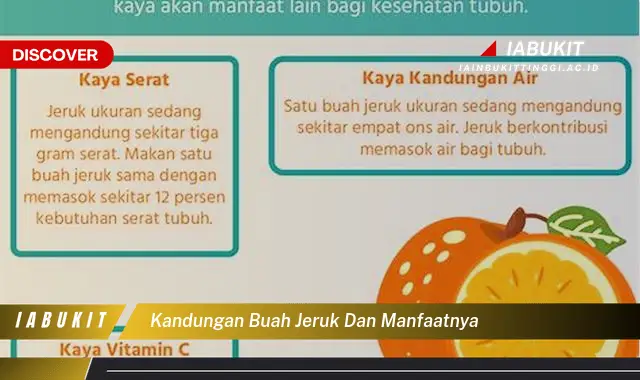 kandungan buah jeruk dan manfaatnya