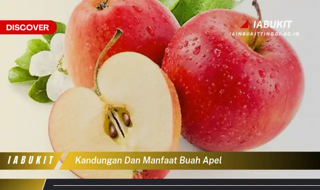 kandungan dan manfaat buah apel