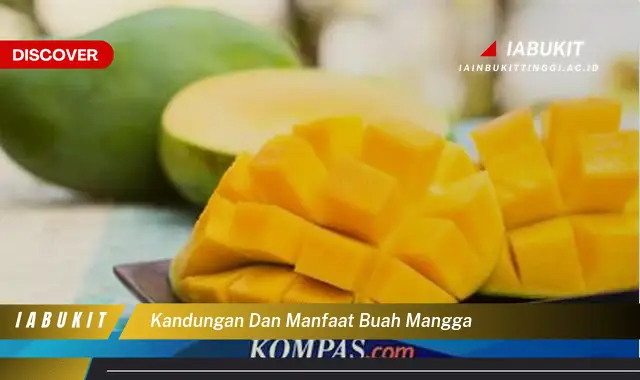 kandungan dan manfaat buah mangga