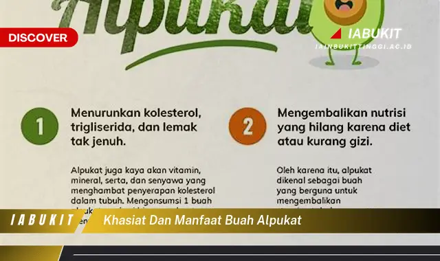 khasiat dan manfaat buah alpukat