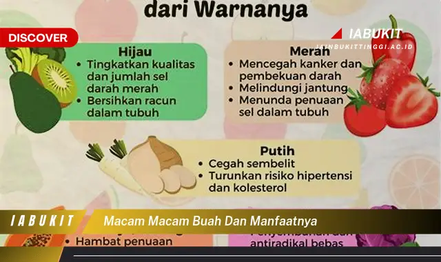 Ternyata Bukan Cuma Buah Jeruk Nipis, Ini Dia 5 Manfaat Buah yang Bikin Penasaran - E-Jurnal