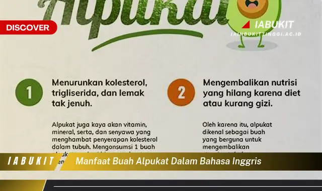 manfaat buah alpukat dalam bahasa inggris