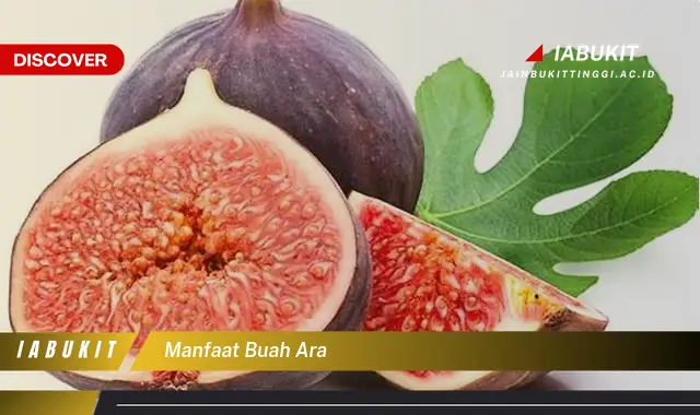 manfaat buah ara