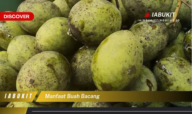 manfaat buah bacang