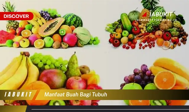 manfaat buah bagi tubuh