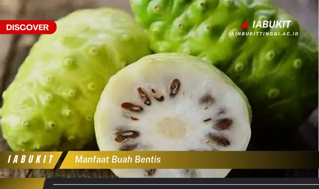 manfaat buah bentis