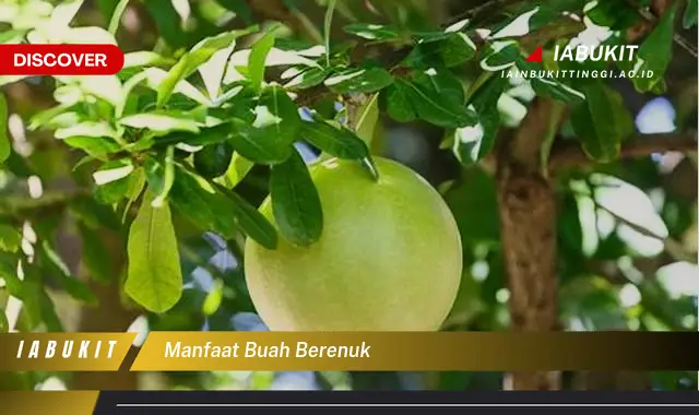 manfaat buah berenuk