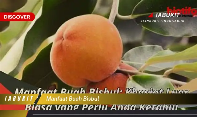 manfaat buah bisbul