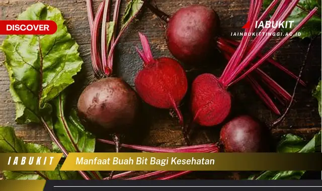 manfaat buah bit bagi kesehatan